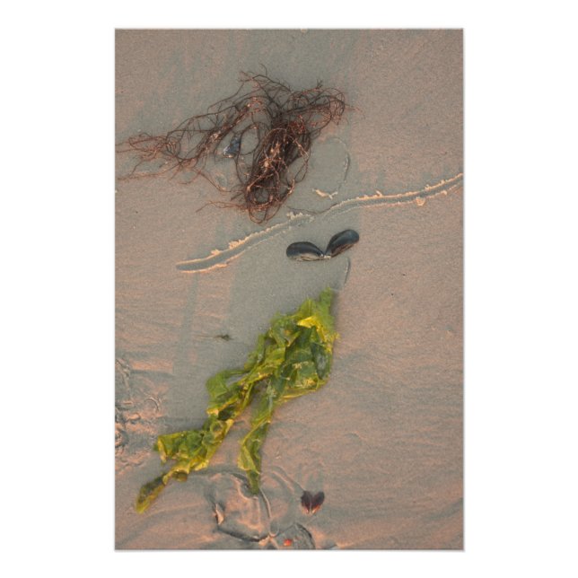 Meerjungfrau Poster (Vorderseite)