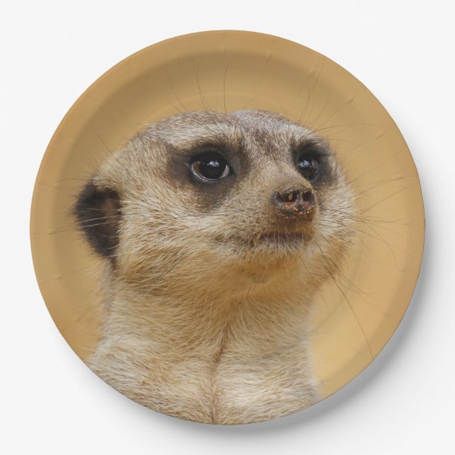 Meerkat2011101 Pappteller (Vorderseite)