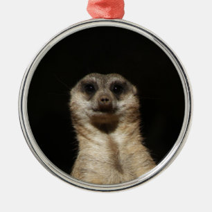 Meerkat20151010 Silbernes Ornament