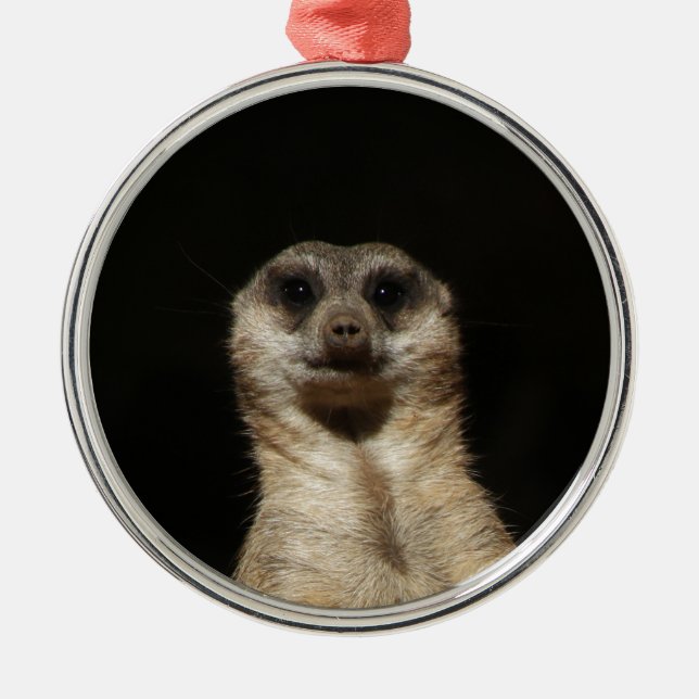 Meerkat20151010 Silbernes Ornament (Vorne)