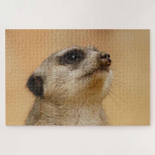 Meerkat_001_by_JAMFoto (Horizontal)