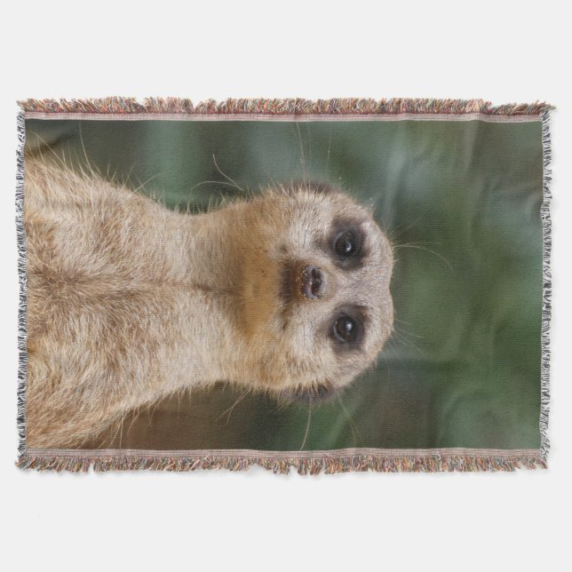Meerkat 001 decke (Vorderseite)