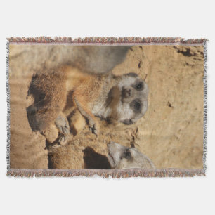 Meerkat 002 decke