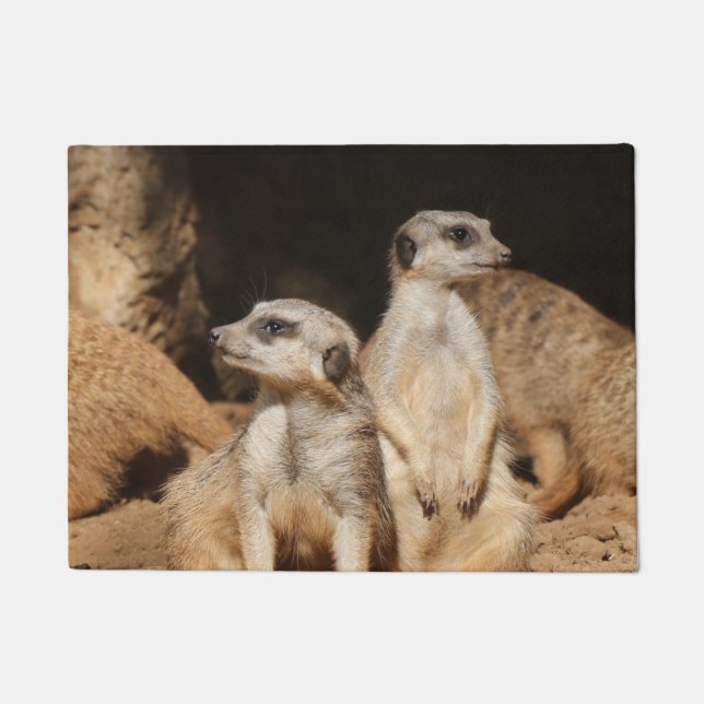 Meerkat 003 fußmatte (Vorderseite)