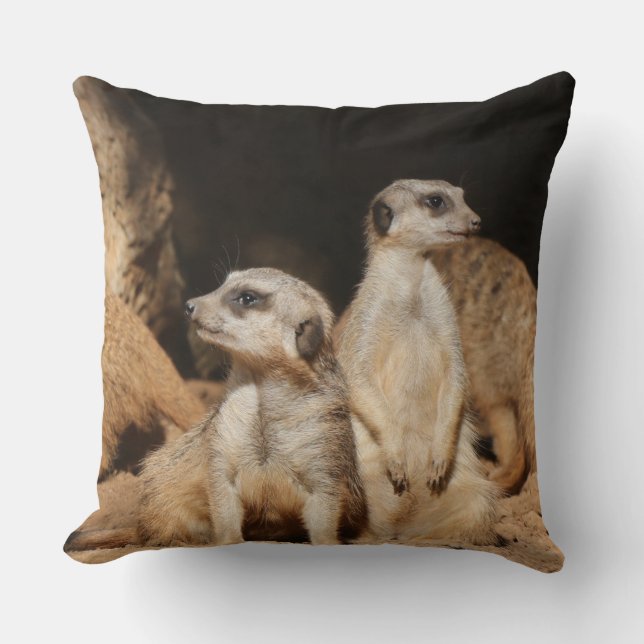Meerkat 003 kissen (Vorderseite)