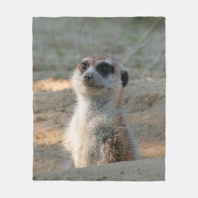 Meerkat 004 fleecedecke (Vorderseite)
