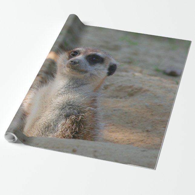 Meerkat 004 geschenkpapier (Ungerollt)