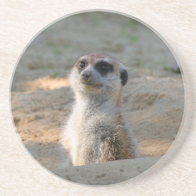 Meerkat 004 getränkeuntersetzer (Vorne)