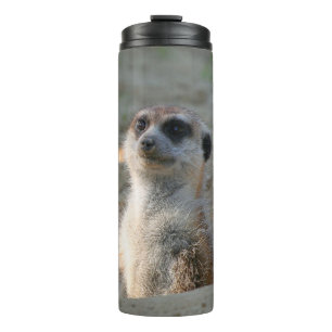 Meerkat 004 thermosbecher