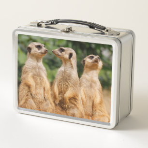 Meerkat 007 metall brotdose