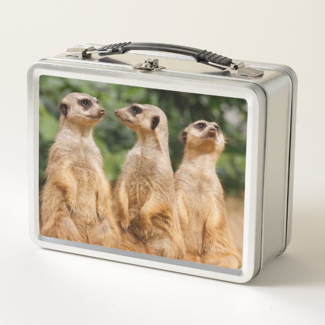 Meerkat 007 metall brotdose (Vorderseite)