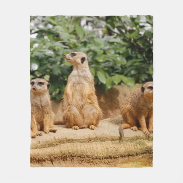 Meerkat 008 fleecedecke (Vorderseite)