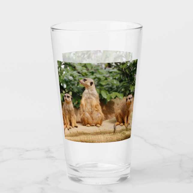 Meerkat 008 glas (Vorderseite)