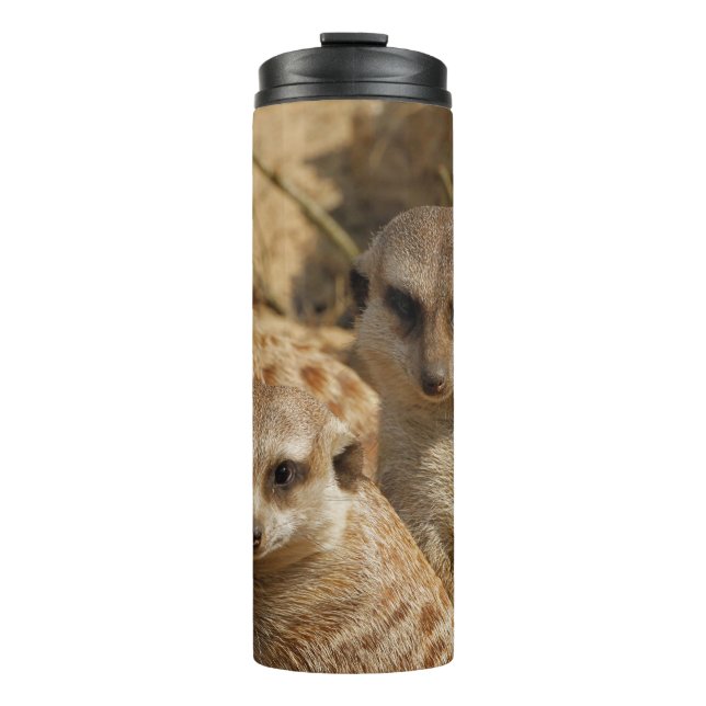 Meerkat_008 Thermosbecher (Vorderseite)