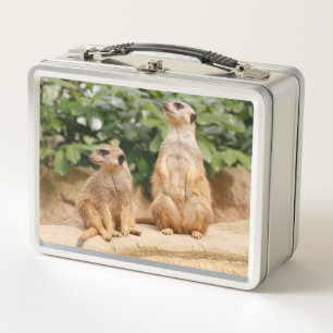 Meerkat 009 metall brotdose