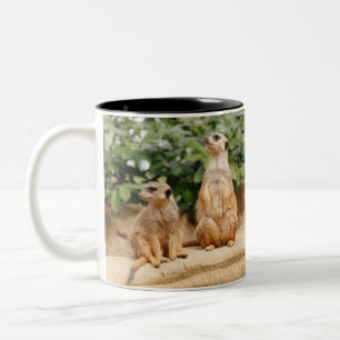 Meerkat 009 zweifarbige tasse
