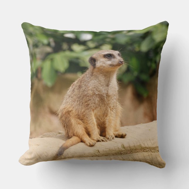 Meerkat 010 kissen (Vorderseite)