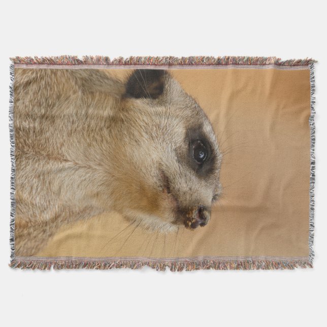 Meerkat 011 decke (Vorderseite)