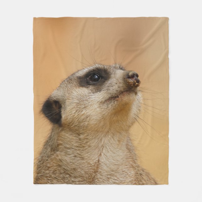 Meerkat 011 fleecedecke (Vorderseite)