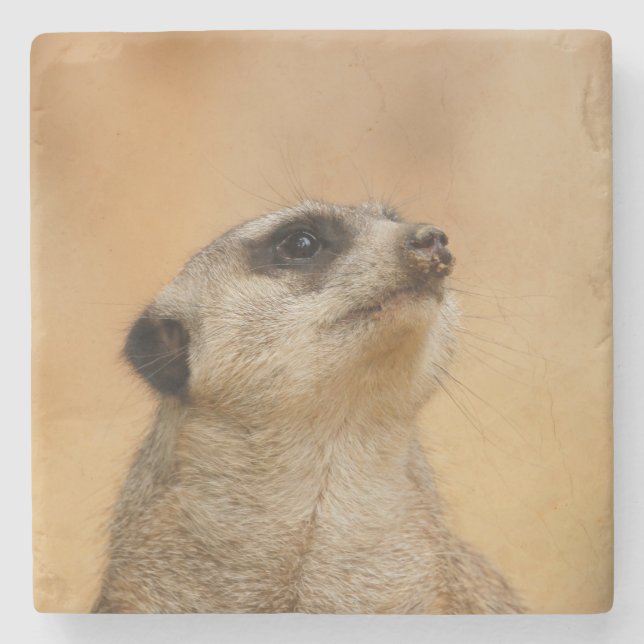 Meerkat 011 steinuntersetzer (Vorderseite)