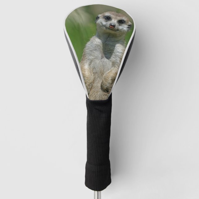 Meerkat 013 golf headcover (Vorderseite)