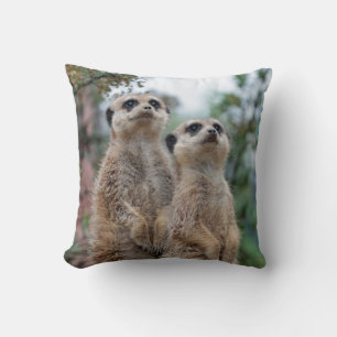 Meerkat 013 kissen
