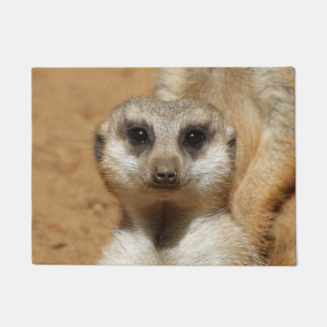 Meerkat 016 fußmatte (Vorderseite)