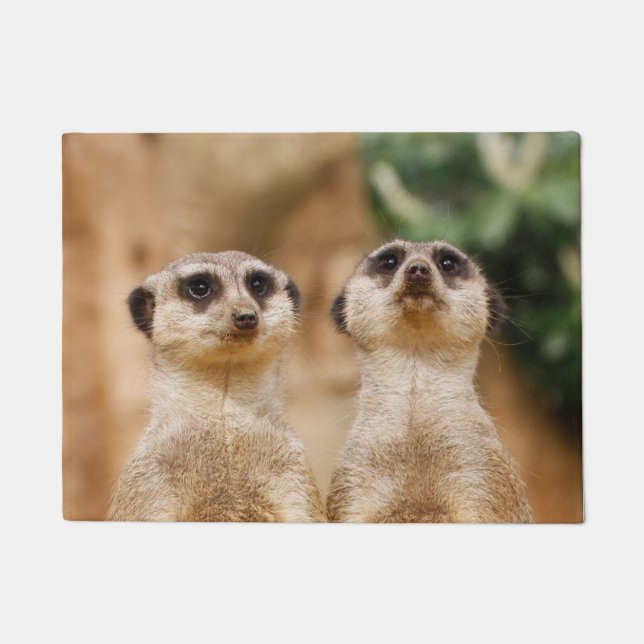 Meerkat 017 fußmatte (Vorderseite)