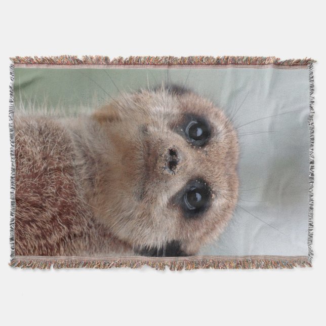 Meerkat 020 decke (Vorderseite)
