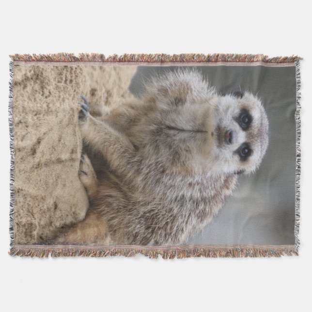 Meerkat 021 decke (Vorderseite)