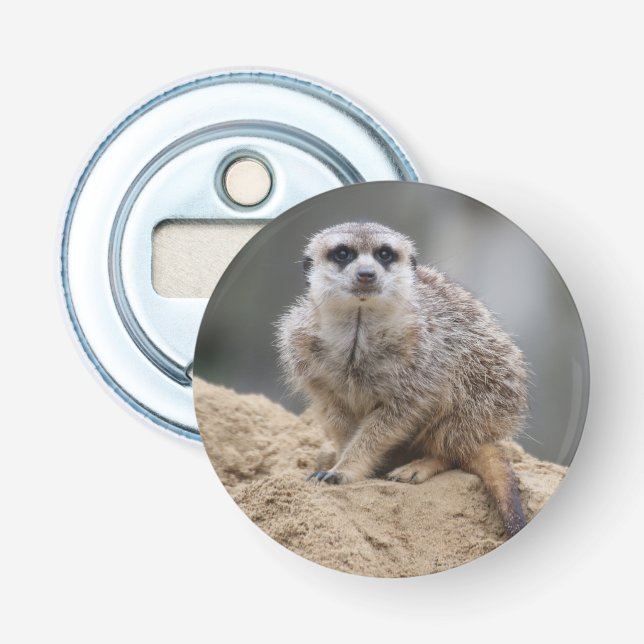 Meerkat 021 flaschenöffner (Vorderseite)