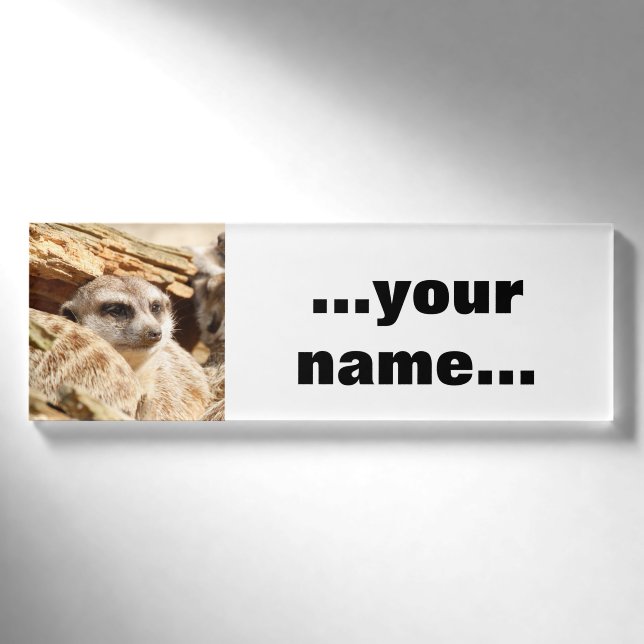 Meerkat_021 Namenschild (Vorderseite)