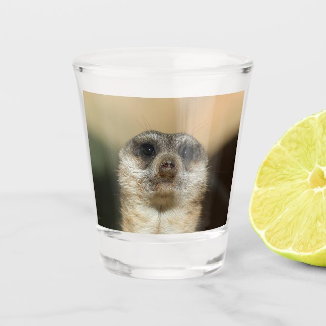 Meerkat 023 schnapsglas (Vorderseite)