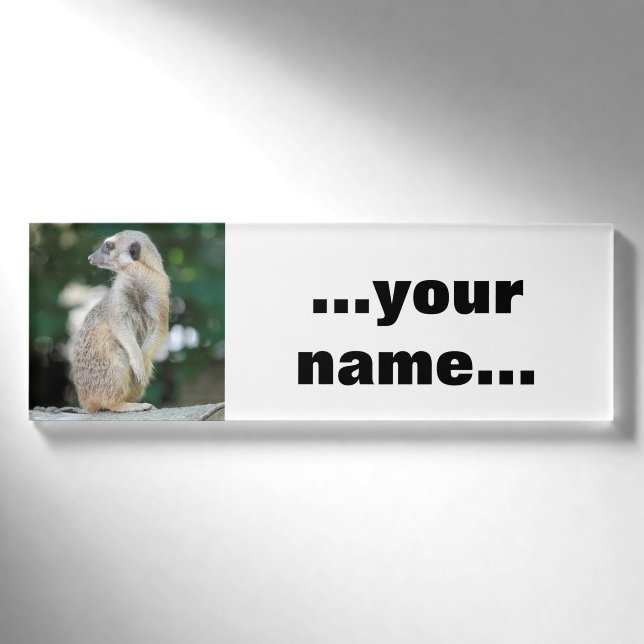 Meerkat 025 namenschild (Vorderseite)