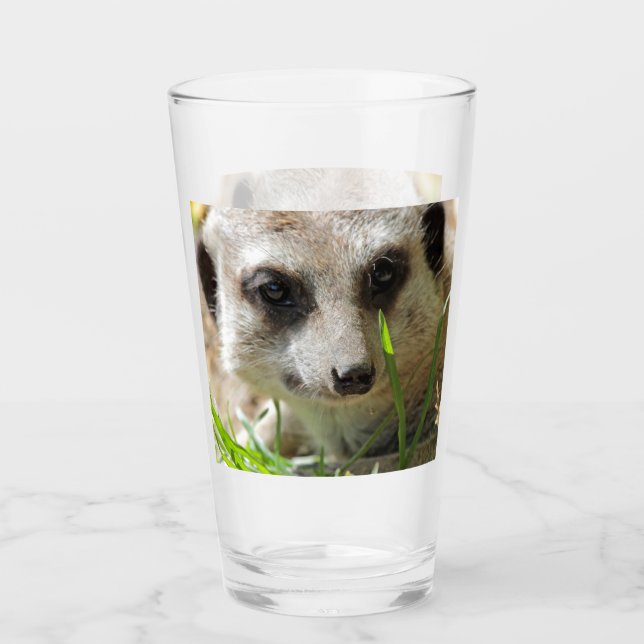 Meerkat 026 glas (Vorderseite)