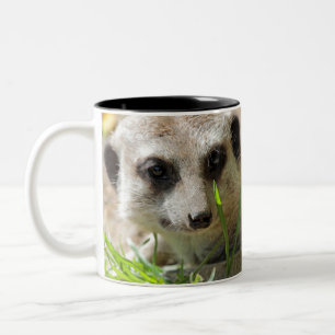 Meerkat 026 zweifarbige tasse