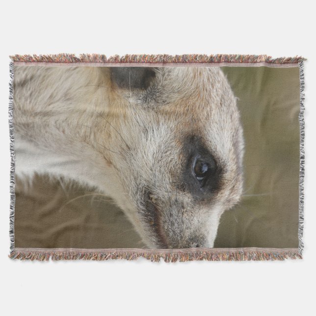 Meerkat 028 decke (Vorderseite)