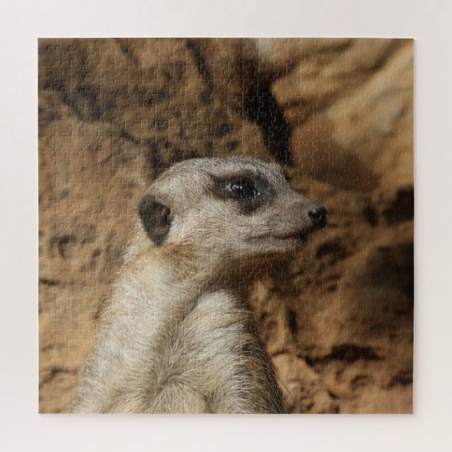 Meerkat 029 (Vertikal)