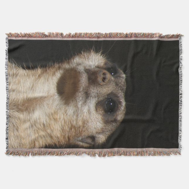 Meerkat 032 decke (Vorderseite)