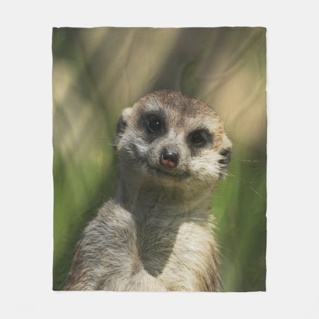 Meerkat 034 fleecedecke (Vorderseite)