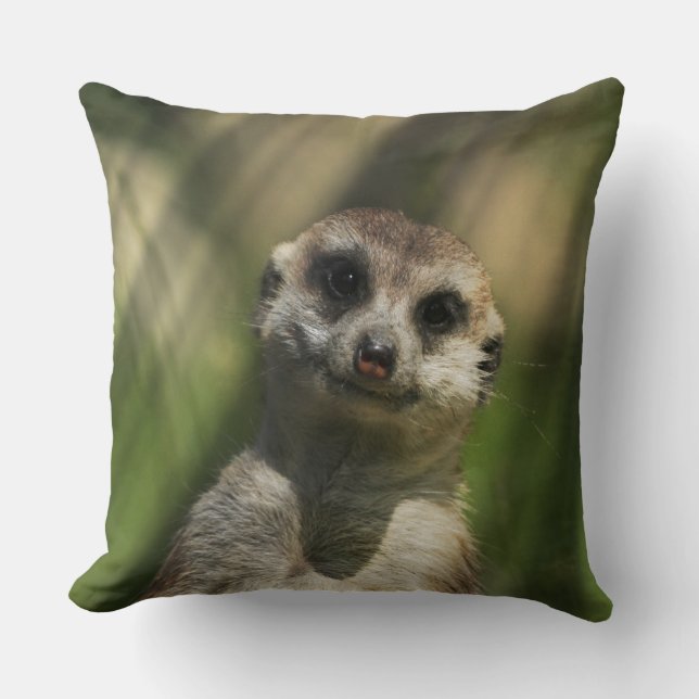Meerkat 034 kissen (Vorderseite)
