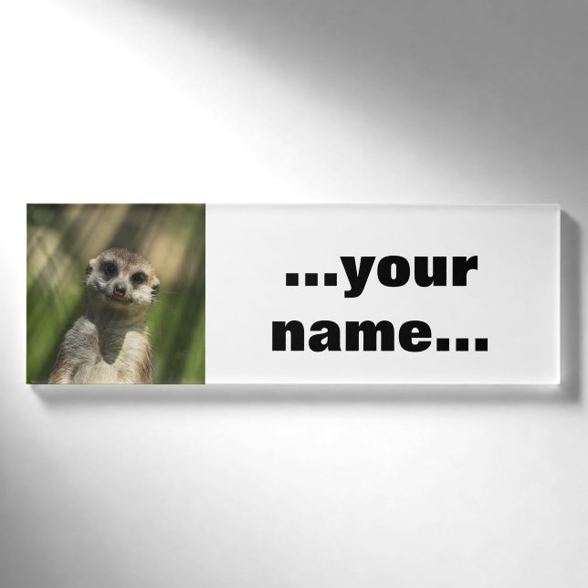 Meerkat 034 namenschild (Vorderseite)