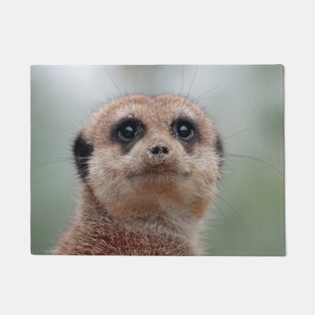 Meerkat 036 fußmatte (Vorderseite)