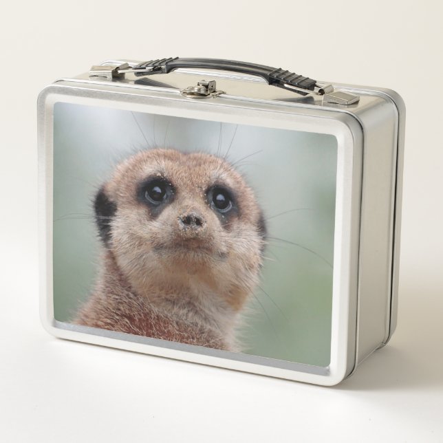 Meerkat 036 metall brotdose (Vorderseite)