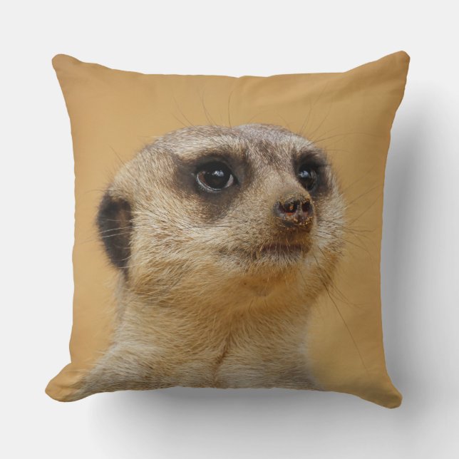 Meerkat 037 kissen (Vorderseite)