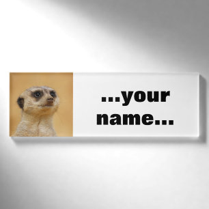 Meerkat 037 namenschild