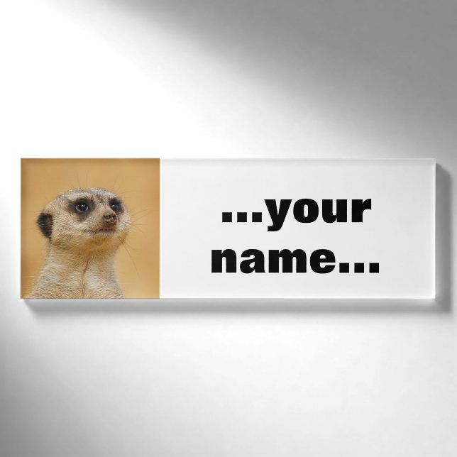 Meerkat 037 namenschild (Vorderseite)