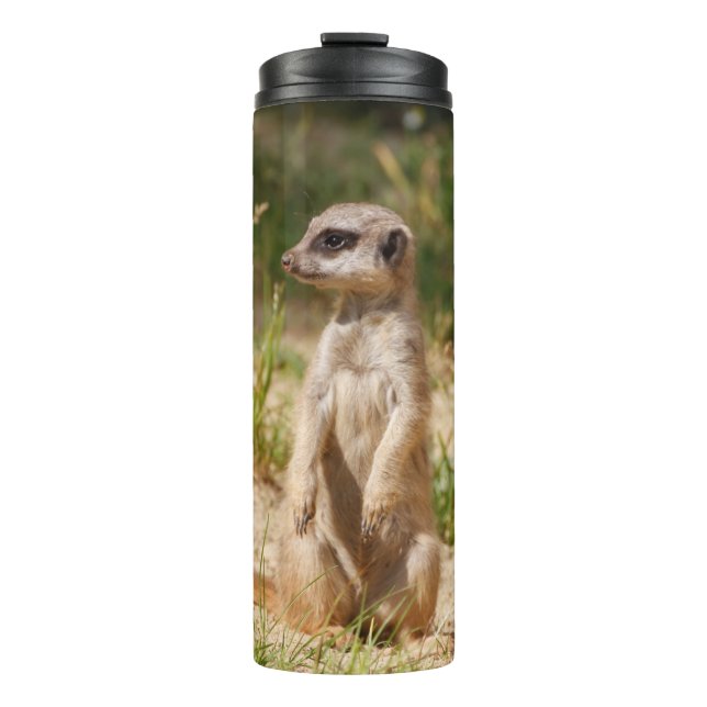 Meerkat 038 thermosbecher (Vorderseite)