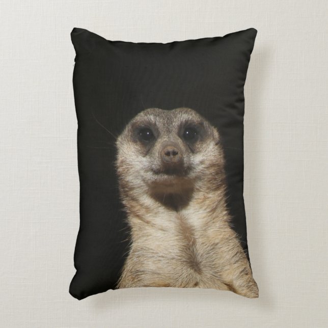 Meerkat 040 dekokissen (Vorderseite(Vertikal))
