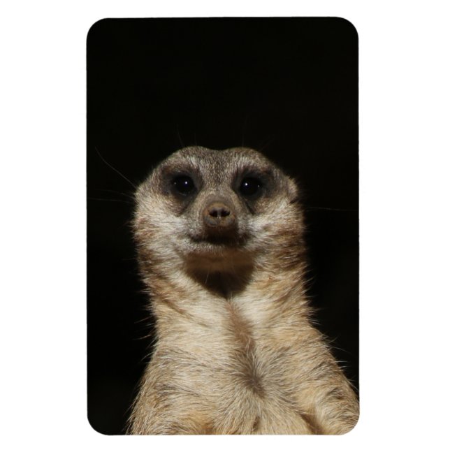 Meerkat 040 magnet (Vertikal)